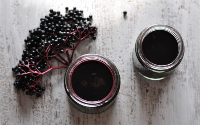 Homemade Elderberry Syrup – To Banish Any Autumn/Winter Bugs